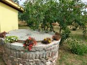 Top Campiglia Marittima