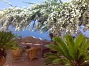 PALAZZO ROCCO - 2 VILLAS - Sun Shining & Red Moon