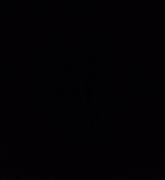 CARIBBEAN VACATION at playa LOS CORALES