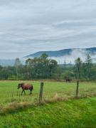 ЖК «Сонячний квартал»