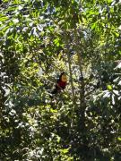 Suíte Privada em Área Verde e Silenciosa