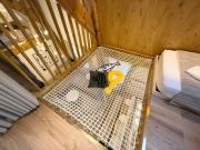 Architect Renovated Family Duplex 4 bedrooms Opéra Lafayette 9p