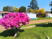 Top La Maruja