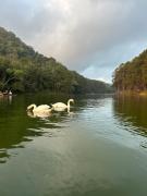 บ้านฝันดีโฮมสเตย์ ปางอุ๋ง