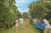 Top Alibaug