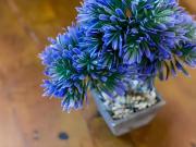 Top Conil de la Frontera