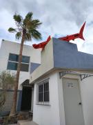 Loft Tiburón - contemporaneo con toque playero