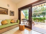 Pinus Blissful Breeze