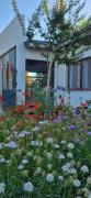 Top General Villegas