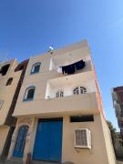 Paris Oasis - West Bank Luxor - Memnon Colossi