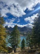 Top Allos