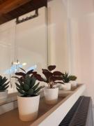 Top Avigliana Top Avigliana