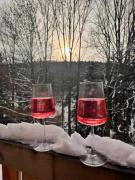 Top Olešnice v Orlických horách