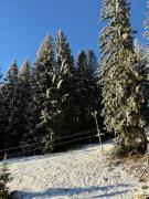 Top Karlova Studánka