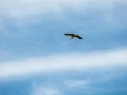 Holiday Home Truels - 30km from the sea by Interhome