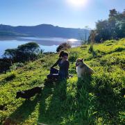 Top Concordia Top Concordia