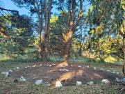 Refugio CASA NAVE Torre del Bosque