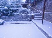 Садиба FAM-KIVI