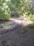 Top Cauquenes Top Cauquenes