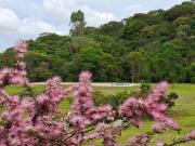 Top São Miguel Arcanjo