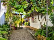 El Leon Feliz Palomino