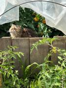 Chambre à louer dans maison à la campagne de Virazeil