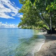 Beachfront Cabin with AC, Starlink, hot water, Nature Paradise