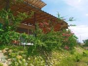 Punta Vichayo - Casa Ballenas