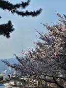 Top Seoul Top Seoul