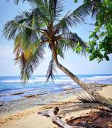 Casa Luminosa - Jungle Pool Villa near the beach