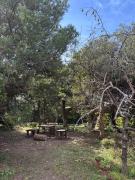 海近く小さな森に囲まれた庭でペット可の宿