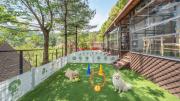 Gapyeong Daengdaengi Dog Pension Silver