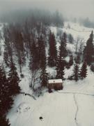 TogetherNest - Cedar