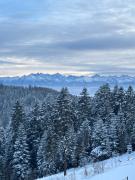 Apartament Zielone Wzgórze