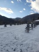 EDEN HOUSE Viseu de Sus