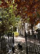 Très bel Appartement avec jardin privatif parking centre ville Montpellier