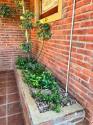 Top Veinticinco de Mayo