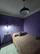 Apartment with its own 100-inch cinema