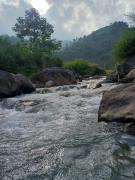 Top Mirik