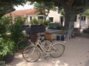 Top Pernes-les-Fontaines