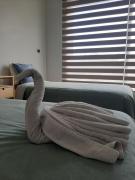 Departamento con patio Isla Teja