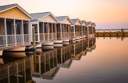 Top Chincoteague