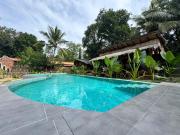 The Elephant Next-Door