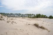 Top Dauphin Island