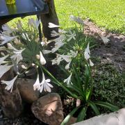 Top São José do Cerrito