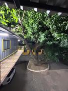 Estúdio Encantador em Boa Vista