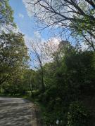 La Reggia di Gusberti