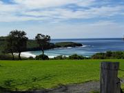 Top Shellharbour