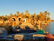 Siwa Oasis Camp & Lodge Desert Experience Tours