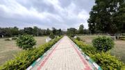 Top Mysore